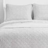 Catch And Release Quilt & Sham Set Gray - Scout Home 1 Catch And Release Quilt & Sham Set Gray - Scout Home -QUILTS Sales unnamed file 2918