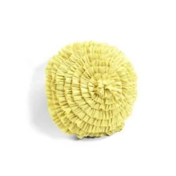 Lush Decor 5pc Harley Quilt Set - Lush Décor Purple/turquoise 13 Lush Decor 5pc Harley Quilt Set - Lush Décor Purple/turquoise -QUILTS Sales unnamed file 3829